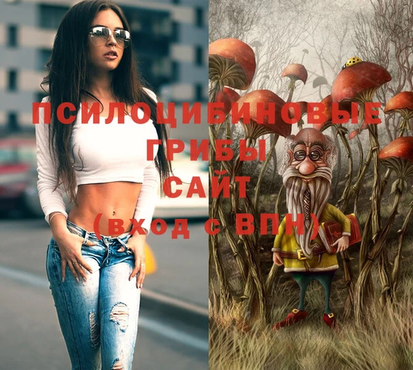 соль ск Мегион
