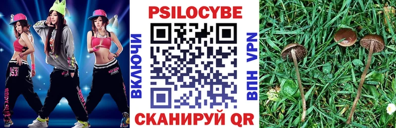 Галлюциногенные грибы MAGIC MUSHROOMS  сколько стоит  ОМГ ОМГ ССЫЛКА  Фрязино 