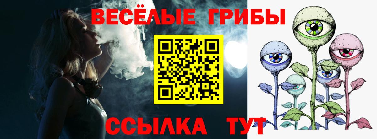 Псилоцибиновые грибы ЛСД  Вход с VPN  Фрязино  Галлюциногенные грибы прущие грибы 
