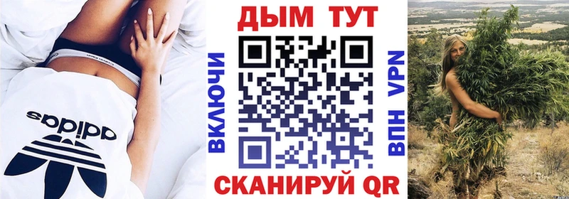 где найти наркотики  Фрязино  Марихуана ГИДРОПОН 